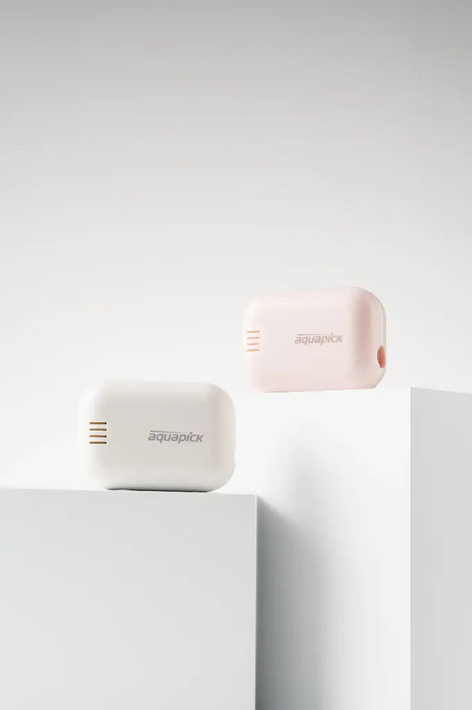 Aquapick Spazzolino da denti sterilizzatore - Portatile AQ-90